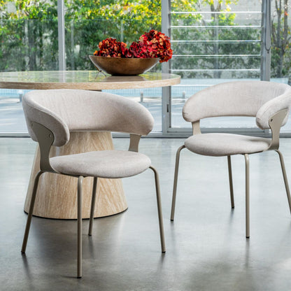 Kenny Metal Dining Chair Set of 2