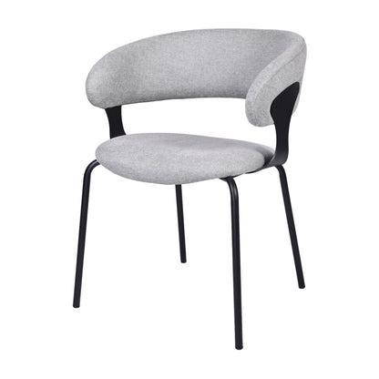 Kenny Metal Dining Chair Set of 2