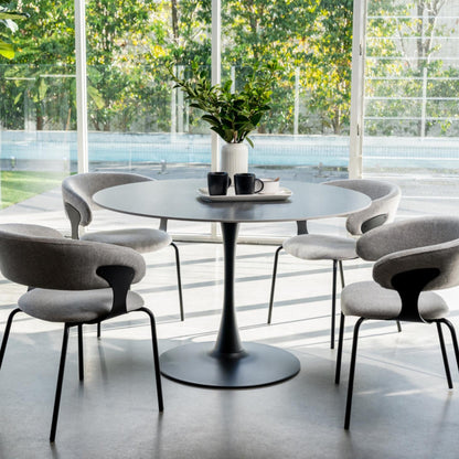 Kenny Metal Dining Chair Set of 2