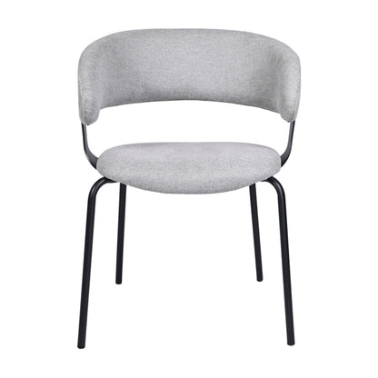 Kenny Metal Dining Chair Set of 2