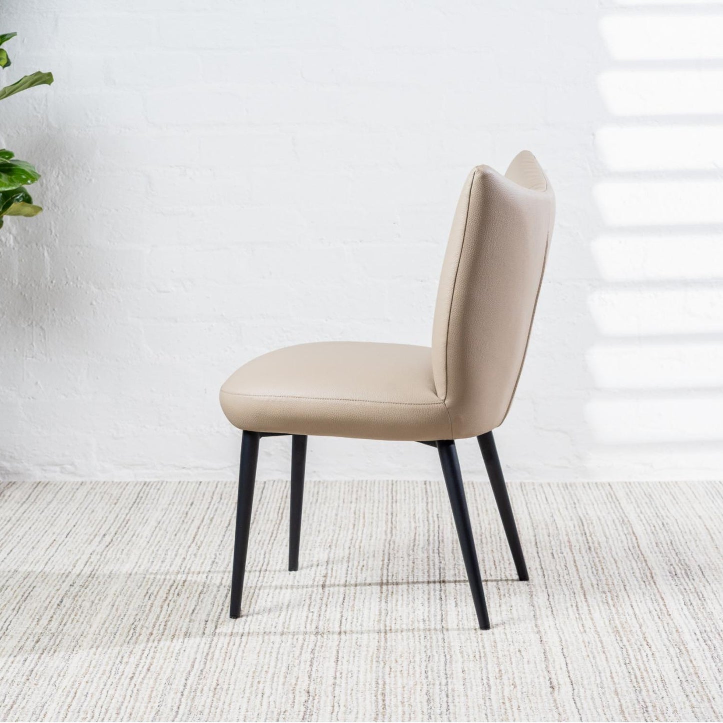 Modena Leather Dining Chair Set of 2
